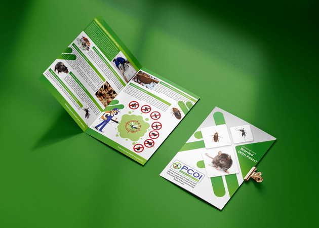 SEO Services in Palghar, Mumbai